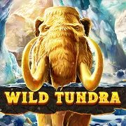 Wild Tundra